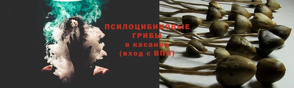 mdpv Майский