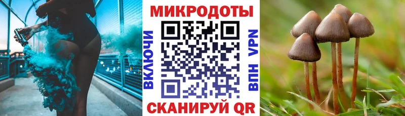 как найти   гидра ТОР  Галлюциногенные грибы мицелий  Йошкар-Ола 